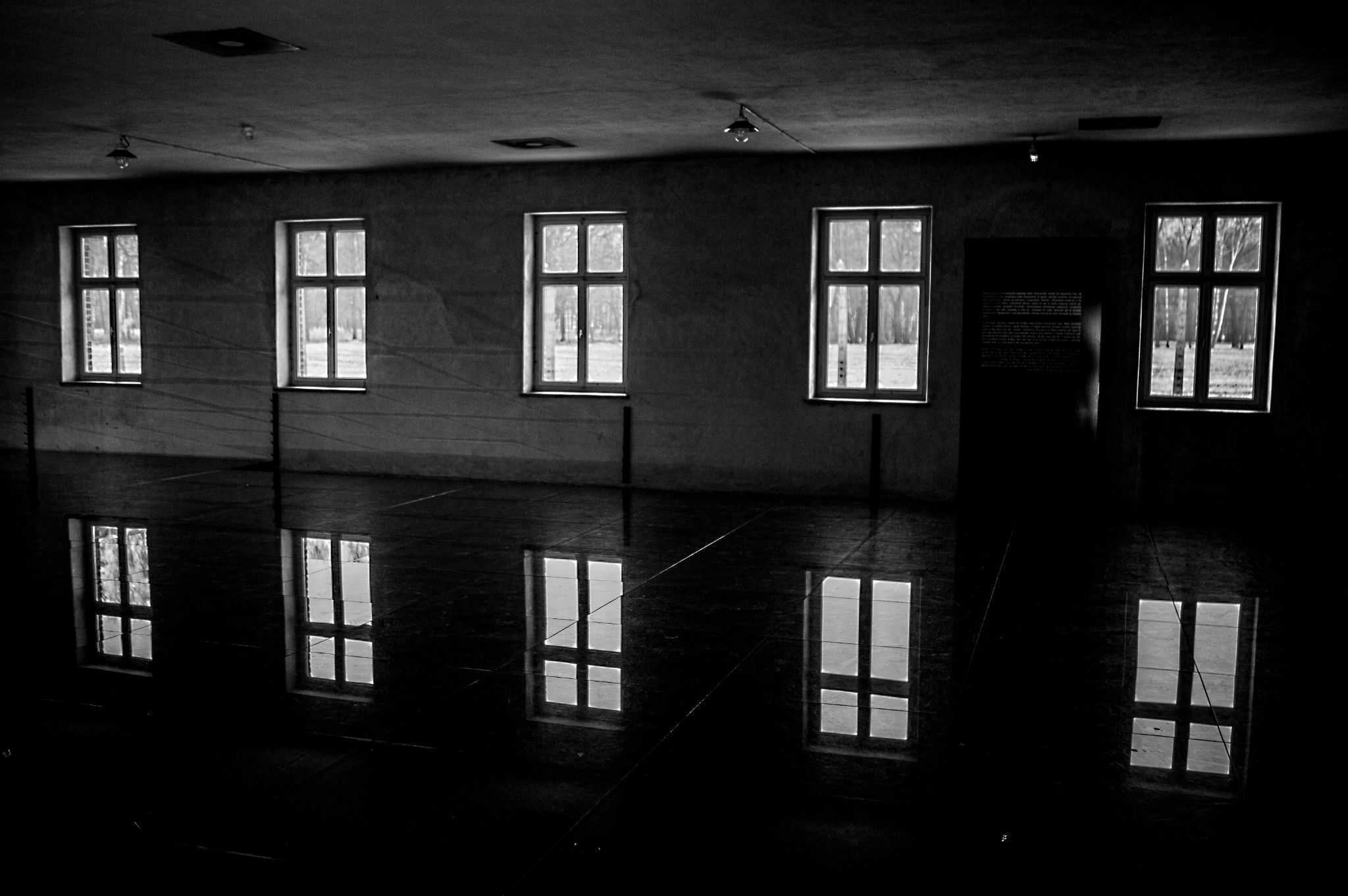  Reflections 